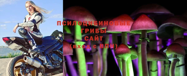 соль ск Алексин