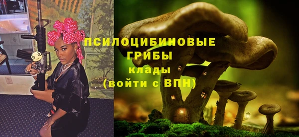 соль ск Алексин