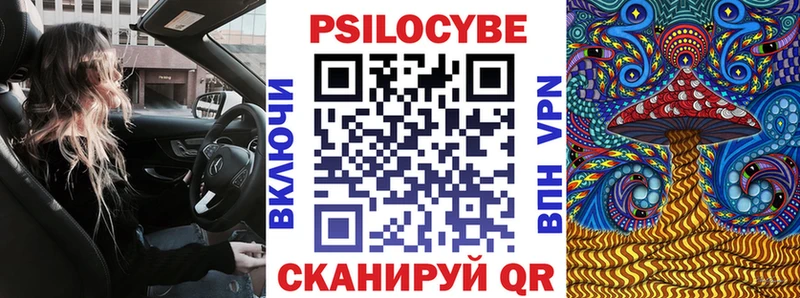 площадка состав  Безенчук  Галлюциногенные грибы Cubensis 